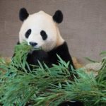 Thumbnail of post image 043