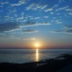 Thumbnail of post image 056