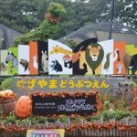 Thumbnail of post image 058