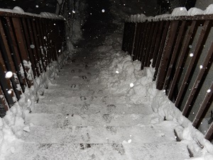 Thumbnail of post image 137