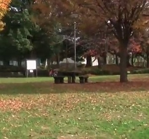 Thumbnail of post image 181