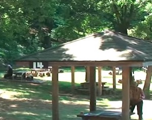 Thumbnail of post image 042