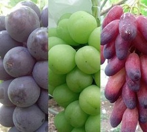 Thumbnail of post image 073