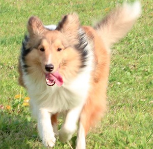 Thumbnail of post image 093