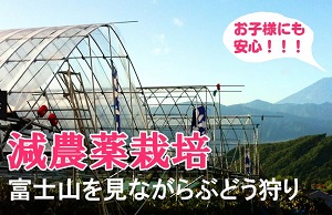 Thumbnail of post image 128