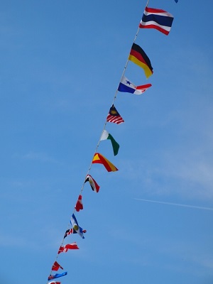 Thumbnail of post image 019