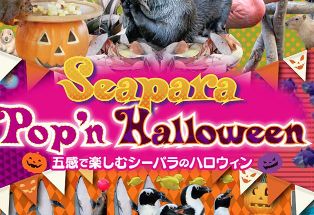 Thumbnail of post image 105