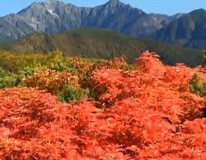 Thumbnail of post image 000