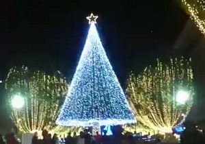 Thumbnail of post image 020