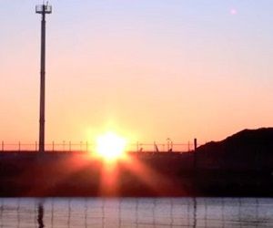 Thumbnail of post image 156