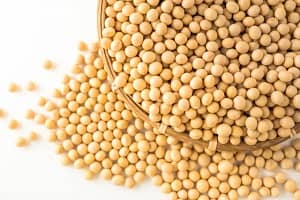 Thumbnail of post image 092