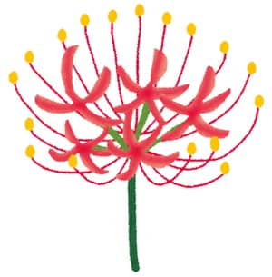 彼岸花は持って帰ってはいけない