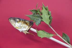 Thumbnail of post image 186