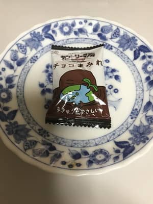 カントリーマアムのチョコまみれ小さくなった