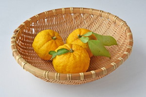 柚子アレルギー