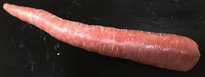 Thumbnail of post image 059