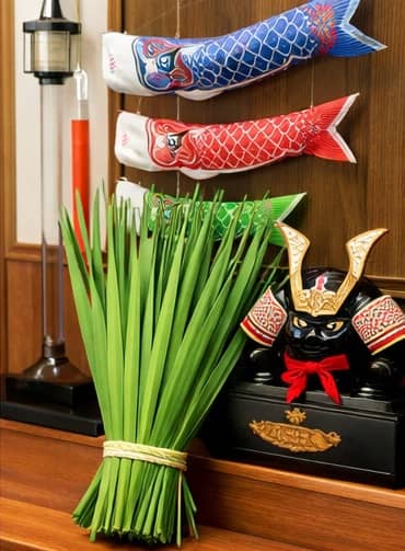 葉菖蒲(ショウブ)の細長い葉