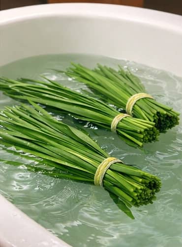 菖蒲風呂に浮かべた様子