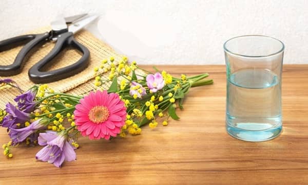 生け花の始め方