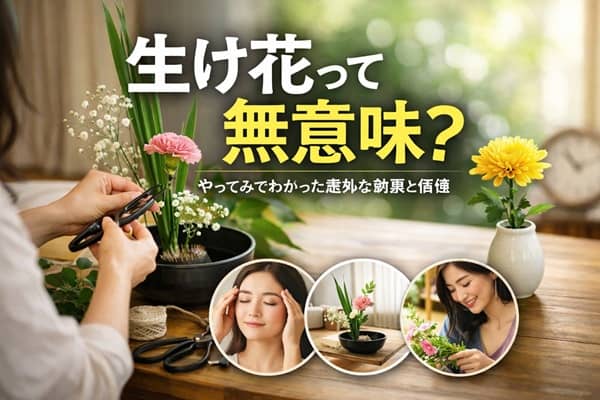 Thumbnail of post image 100